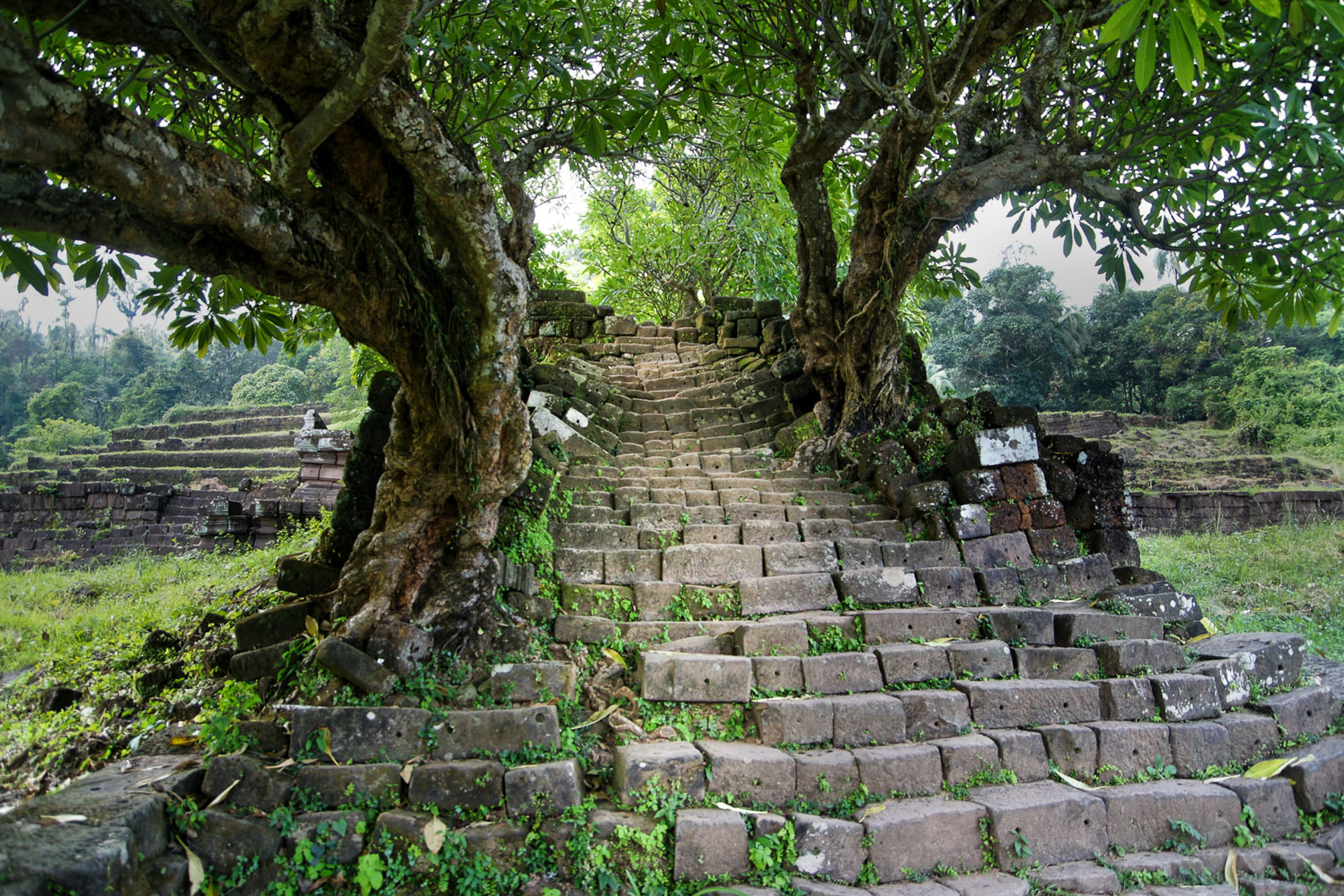 Wat Phou